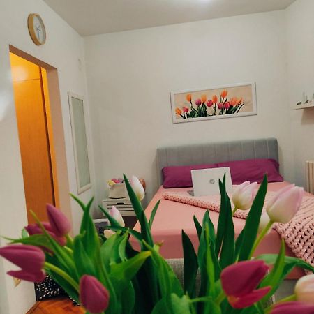 Apartman Lenka Banja Koviljača Exteriör bild