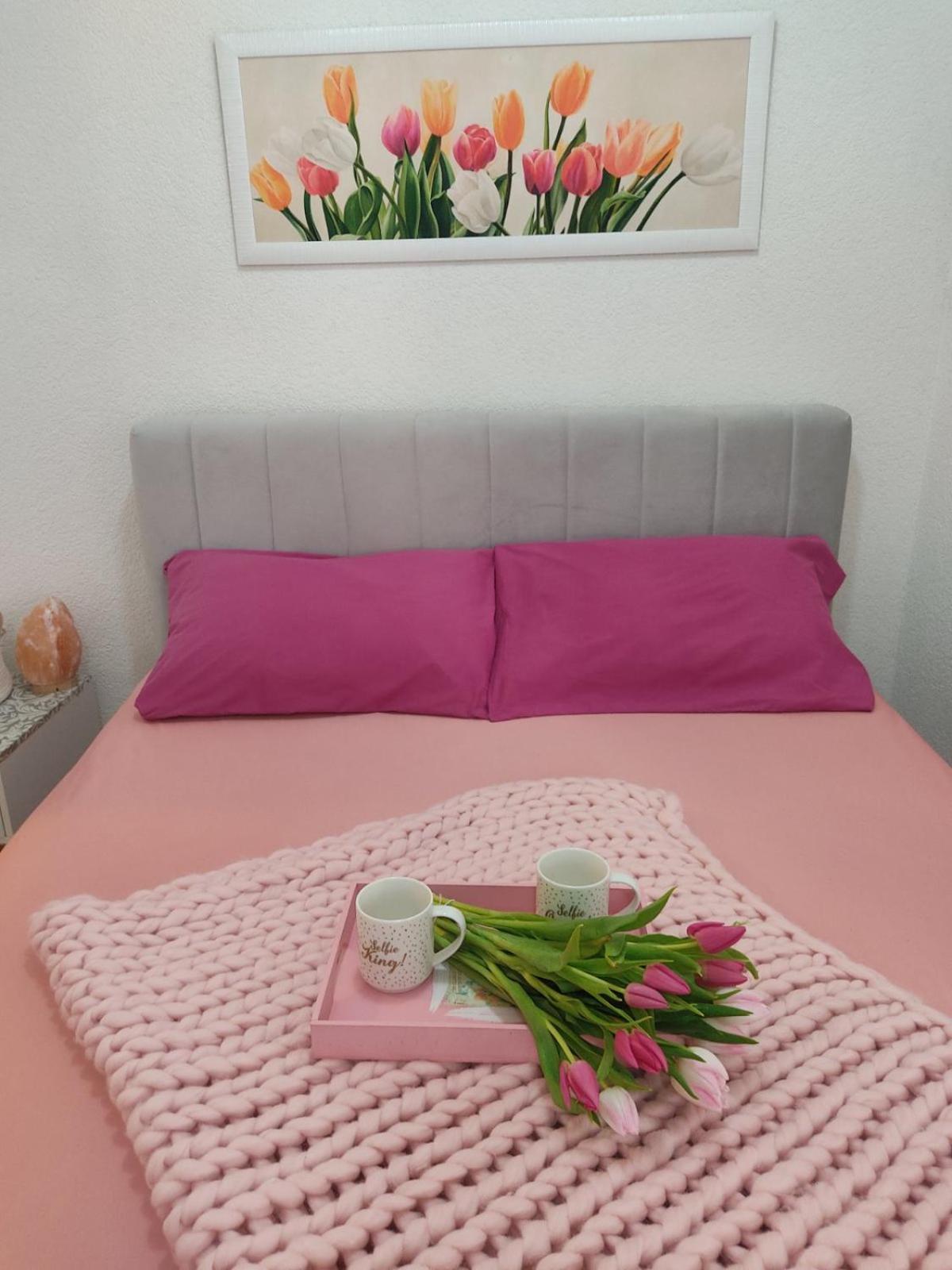Apartman Lenka Banja Koviljača Exteriör bild