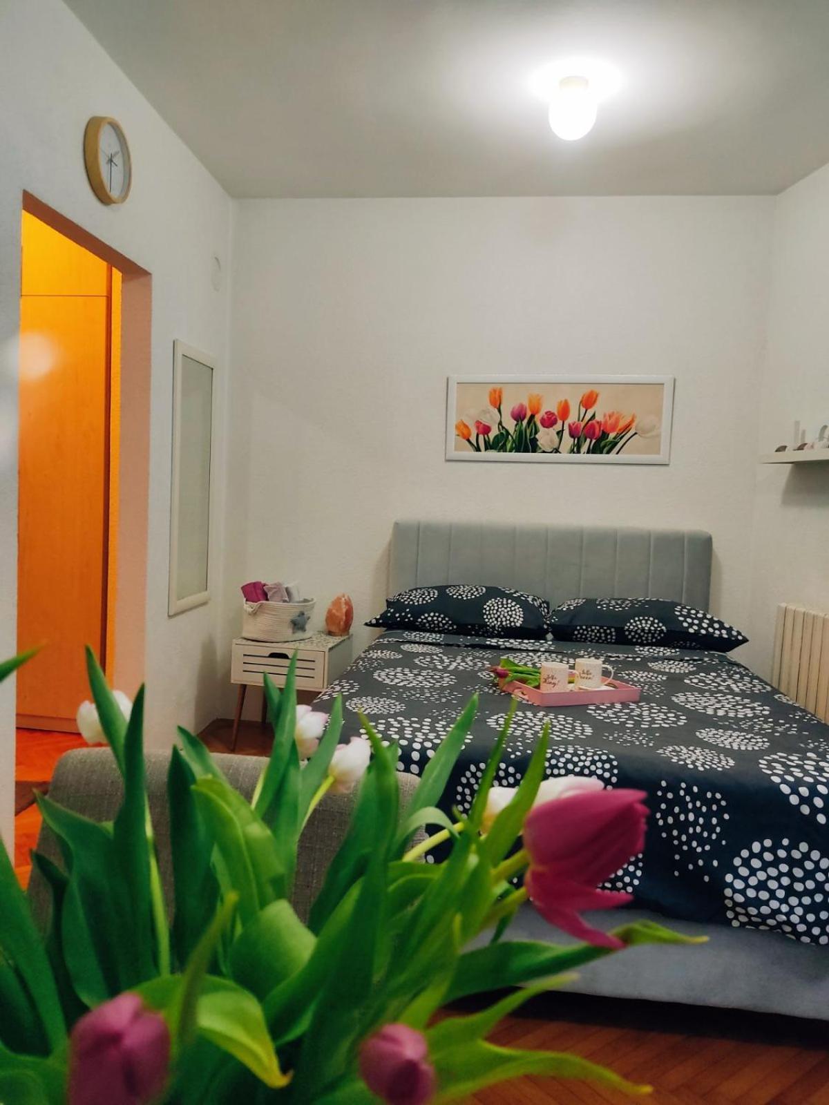 Apartman Lenka Banja Koviljača Exteriör bild